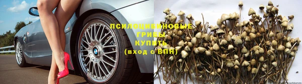 не бодяженный Аша